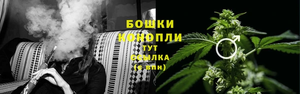 соль ск Протвино