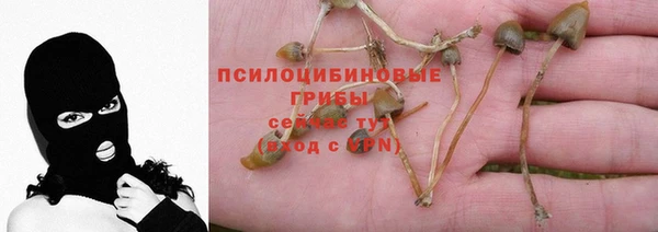 таблы Приозерск