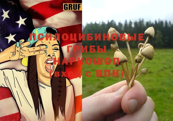 соль ск Протвино