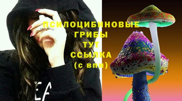 PSILOCYBIN Пролетарск