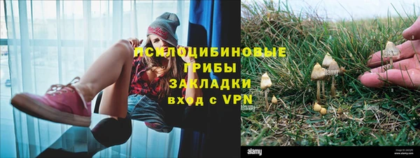 PSILOCYBIN Пролетарск