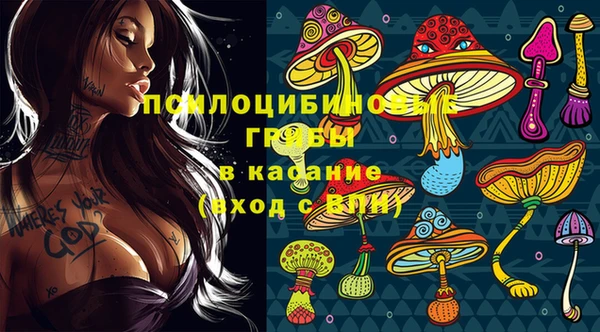 PSILOCYBIN Пролетарск