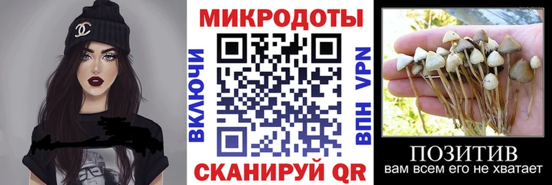 Галлюциногенные грибы прущие грибы  Янаул 