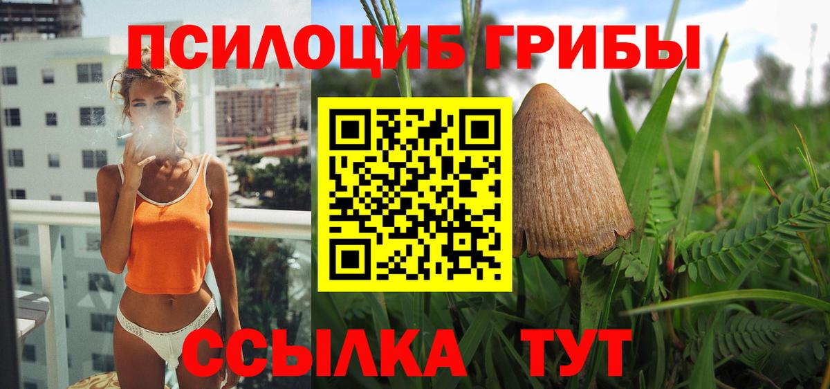 Галлюциногенные грибы Cubensis Янаул
