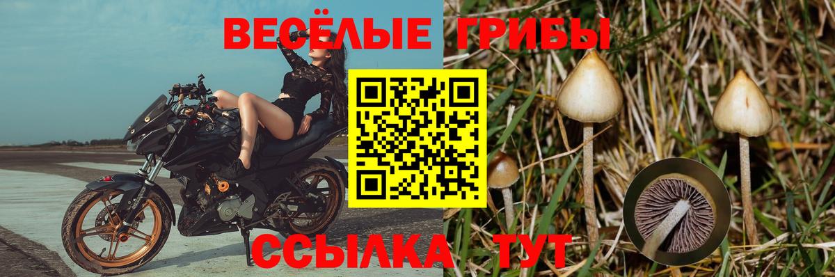 Псилоцибиновые грибы Psilocybine cubensis  Вход с VPN  Галлюциногенные грибы Cubensis  Янаул 